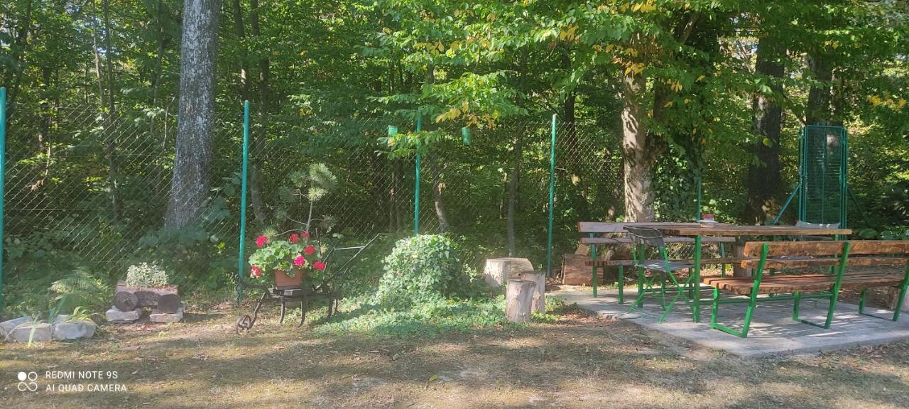 Holiday Home Nina Petrinja Luaran gambar